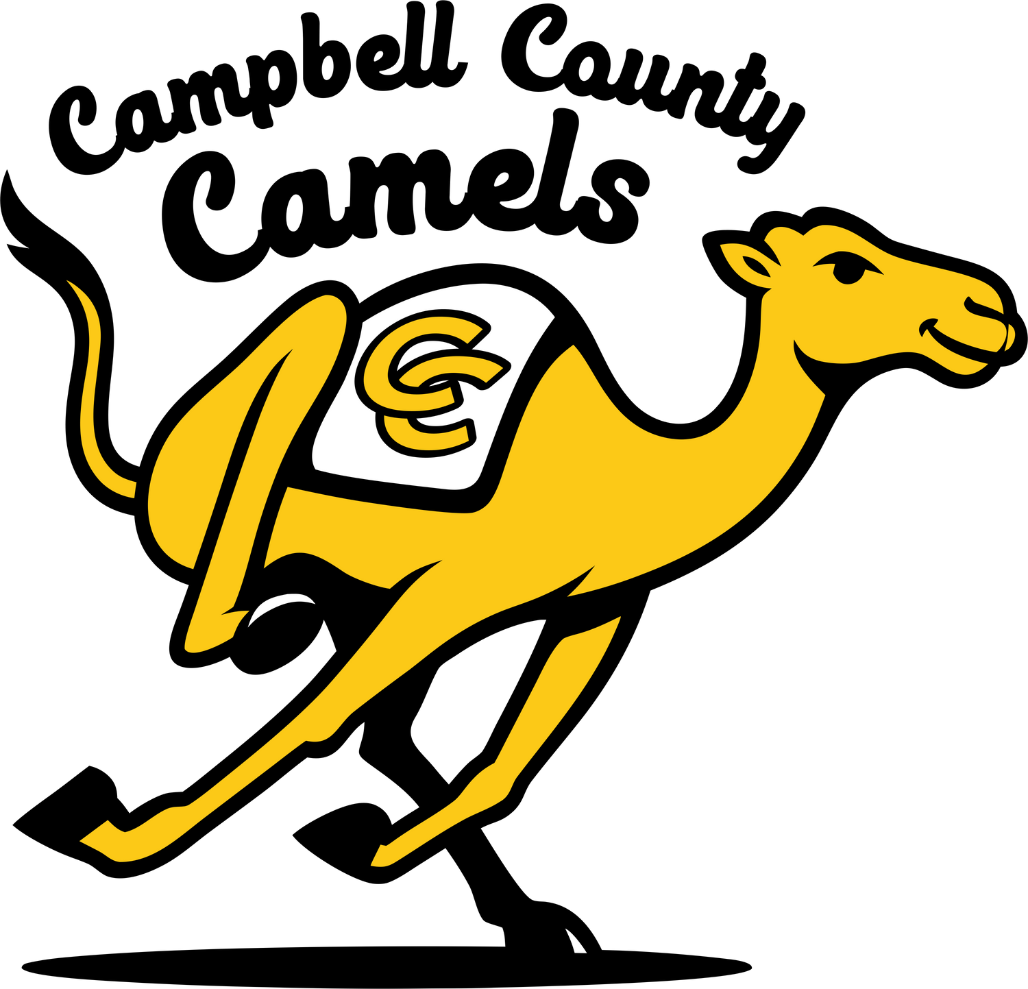 Campbell County High School